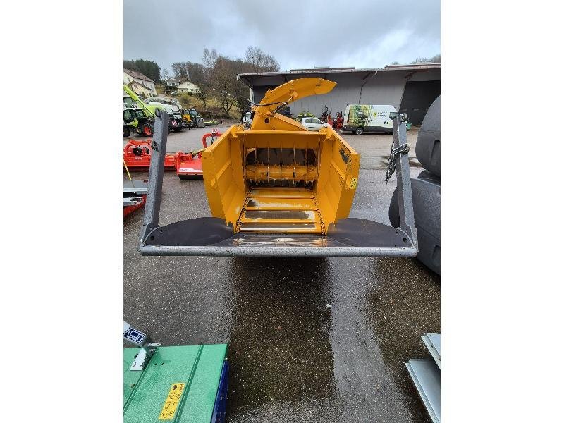 LUCAS – CASTOR 20 – 2024