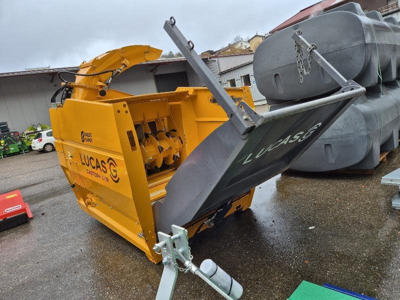 LUCAS – CASTOR 20 – 2024