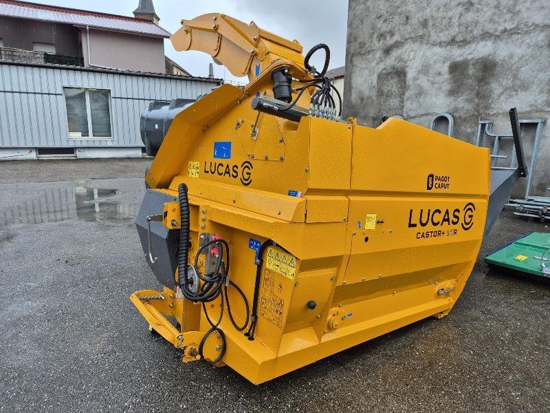 LUCAS – CASTOR 20 – 2024