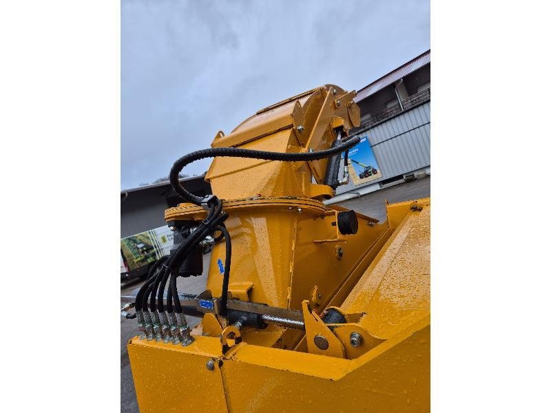 LUCAS – CASTOR 20 – 2024